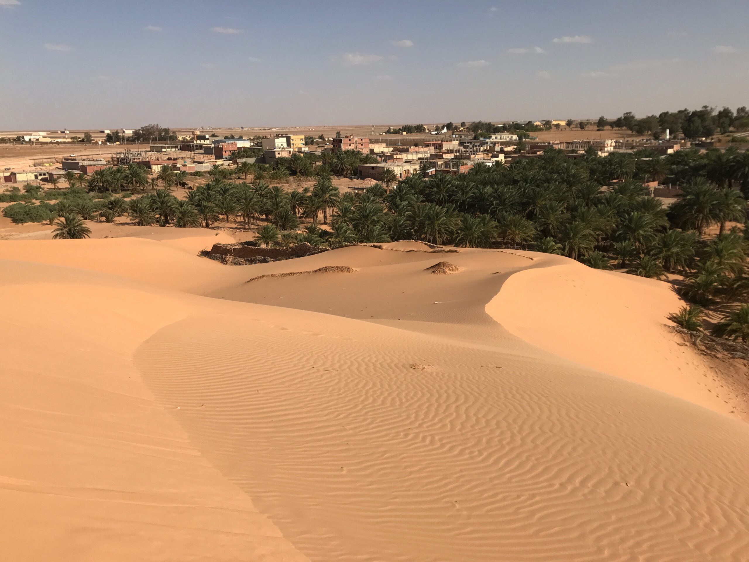 NORTH AFRICA